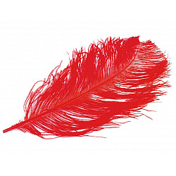 Pană decorativă de struț, lungime 60 cm - roșu