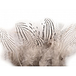 Pene decorative de fazan, lungime 5 - 11 cm (pachet 20 buc.) - alb