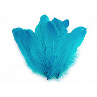 Pene decorative de gâscă, lungime 15-21 cm (pachet 5 buc.) - bleu turcoaz