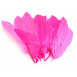 Pene decorative de gâscă, lungime 15-21 cm (pachet 5 buc.) - roz strident deschis - neon